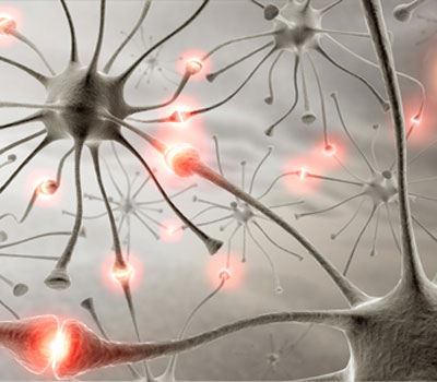 EMDR-Traumatherapie Dunkelfeld-Blutanalyse Life-Coaching und Telefonberatung im Allgaeu bei Heilpraktikerin Ulrike Fohn