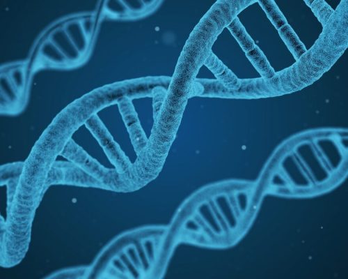 DNA_Doppelhelix-1200×700 DNA_Doppelhelix-1200x700